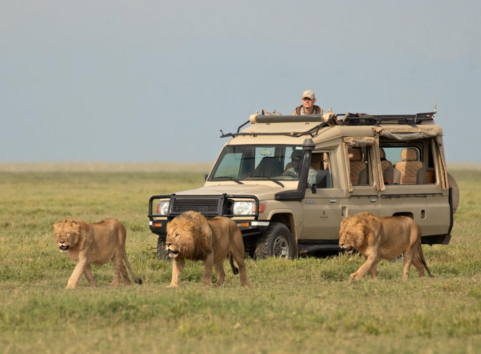 3 Days 2Nights Samburu National Park