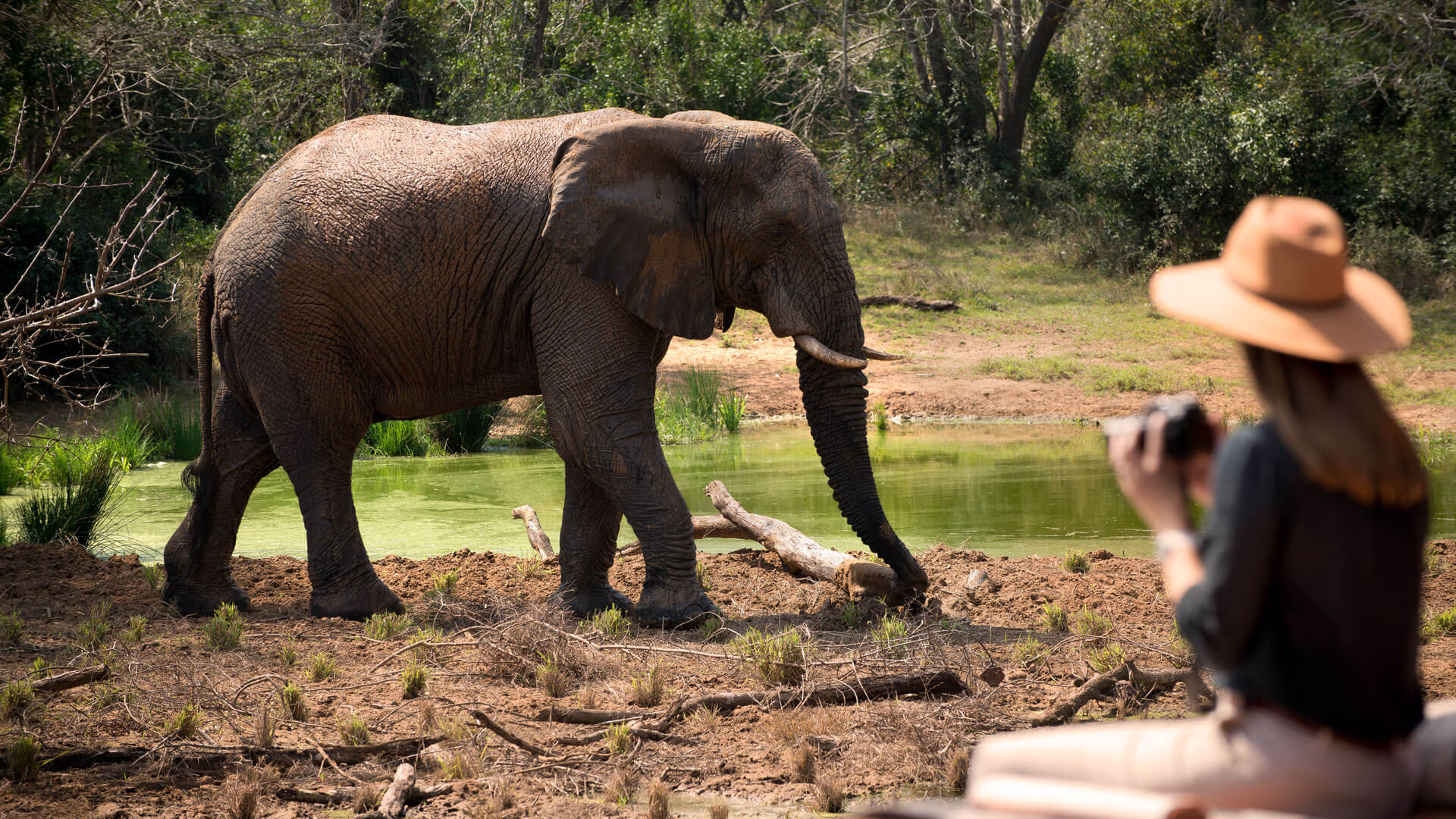 4 Days Aberdare, Ol pejeta & Nakuru safari