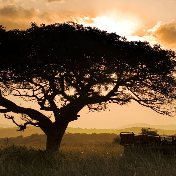 05 Days Tanzania Classic Safari – SOA034